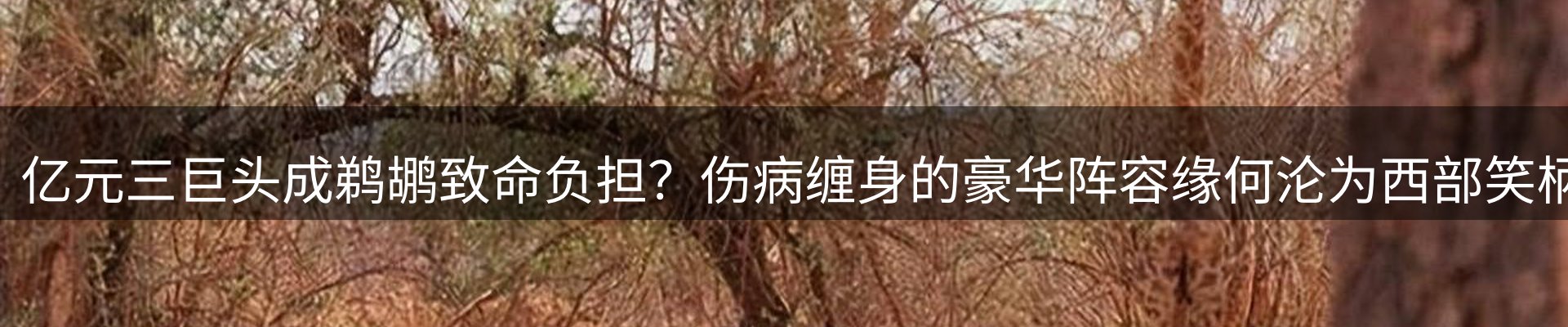 赛事资讯