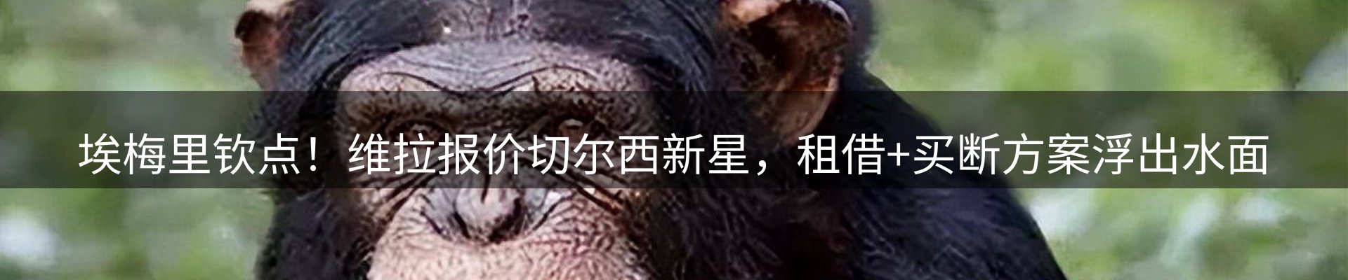 赛事资讯